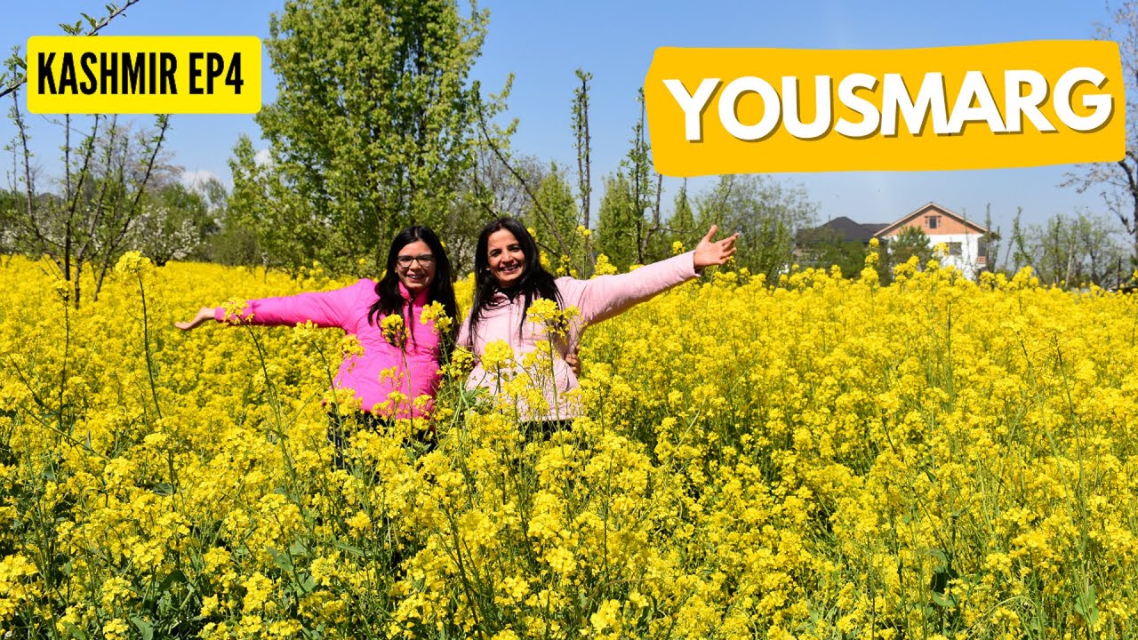 Kashmir in Summer 2023 | Yousmarg & Charar-i-Sharief |Unexplored Wonders| #Kashmir diaries Ep 4