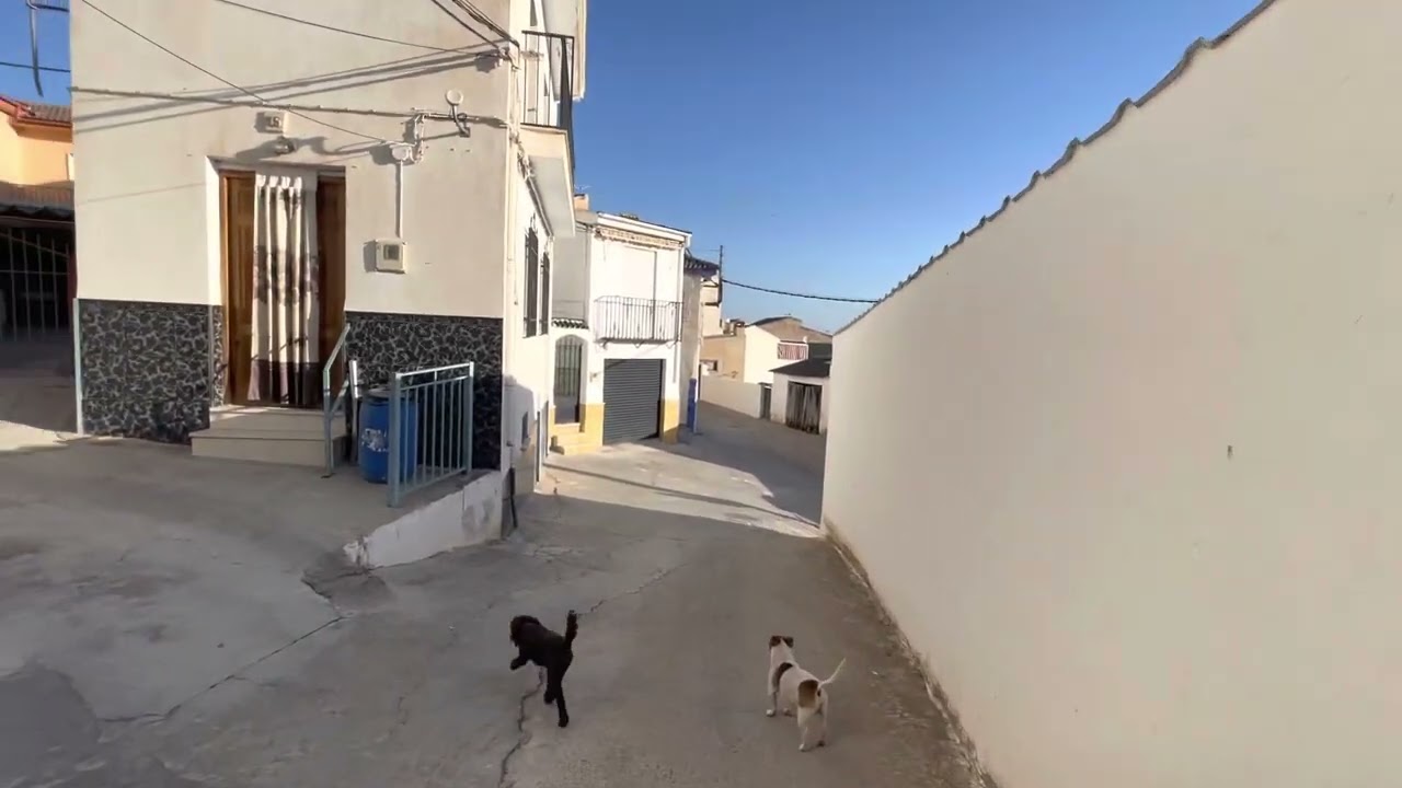Castil de Campos Chimineros Area.  Dogs Lewis and Lo Lo take you on a tour 😂