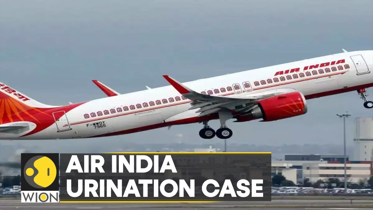 Air India Urination Case: Man arrested for peeing on woman on plane, sent to jail | Latest | WION