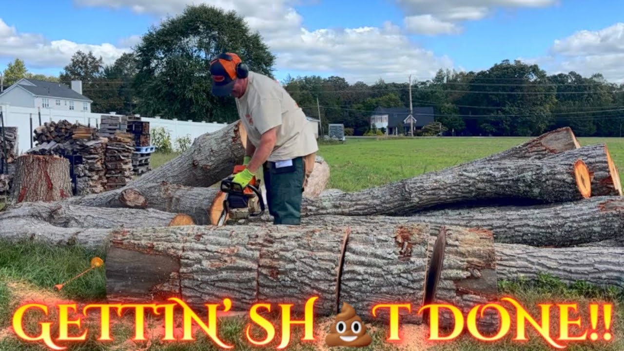 Time to get sh💩t done in the #woodyard & make some chips‼️#firewood #sthilchainsaw #066 #sidehustle