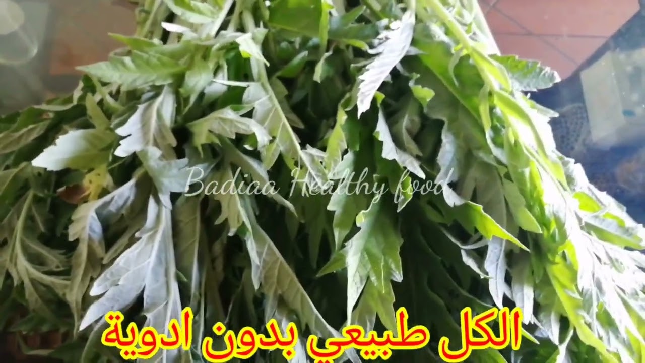 دويرة في جريدتي المتواضعة 🌿☘️🍀🌱🌳