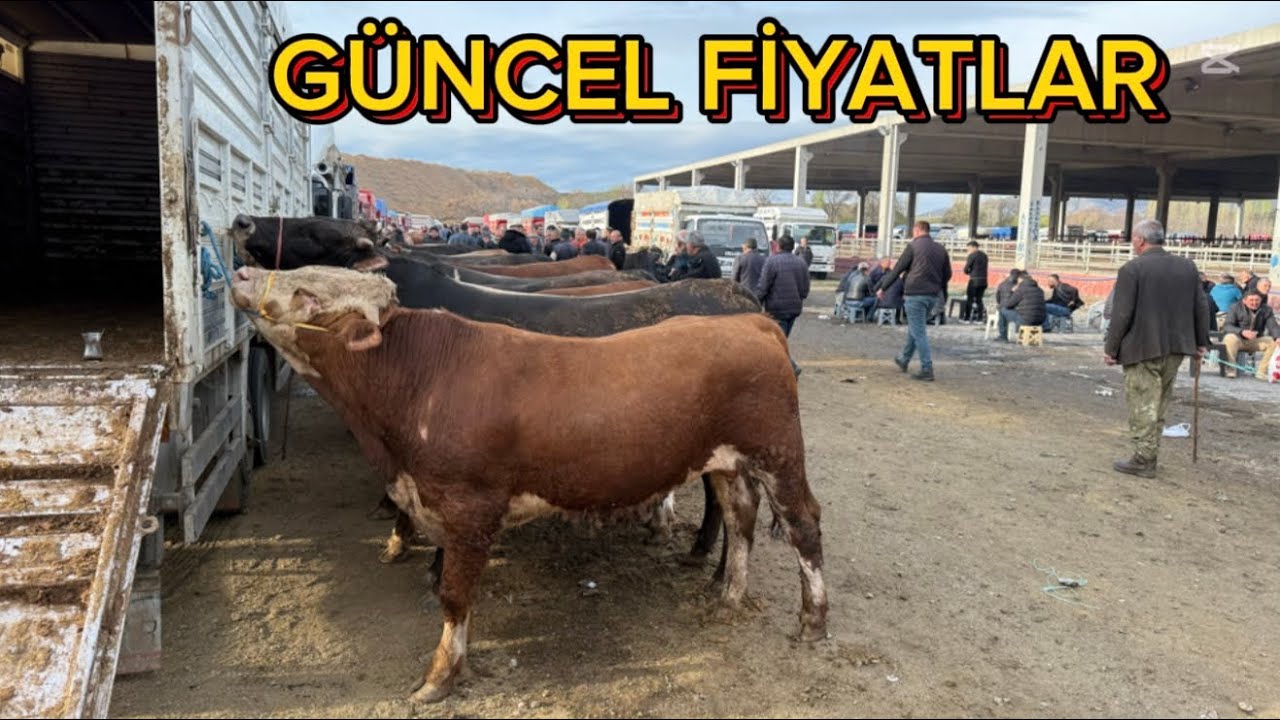 KIRIKKALE HAYVAN PAZARI 13 MAYIS SALI /KURBAN PİYASASI