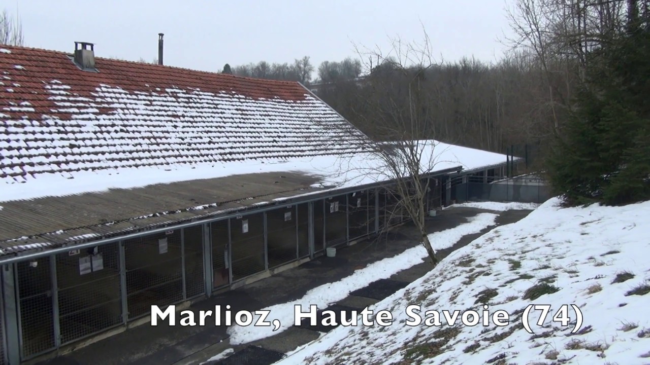 Inside SPA Annecy Marlioz: reportage ( Partie 1)