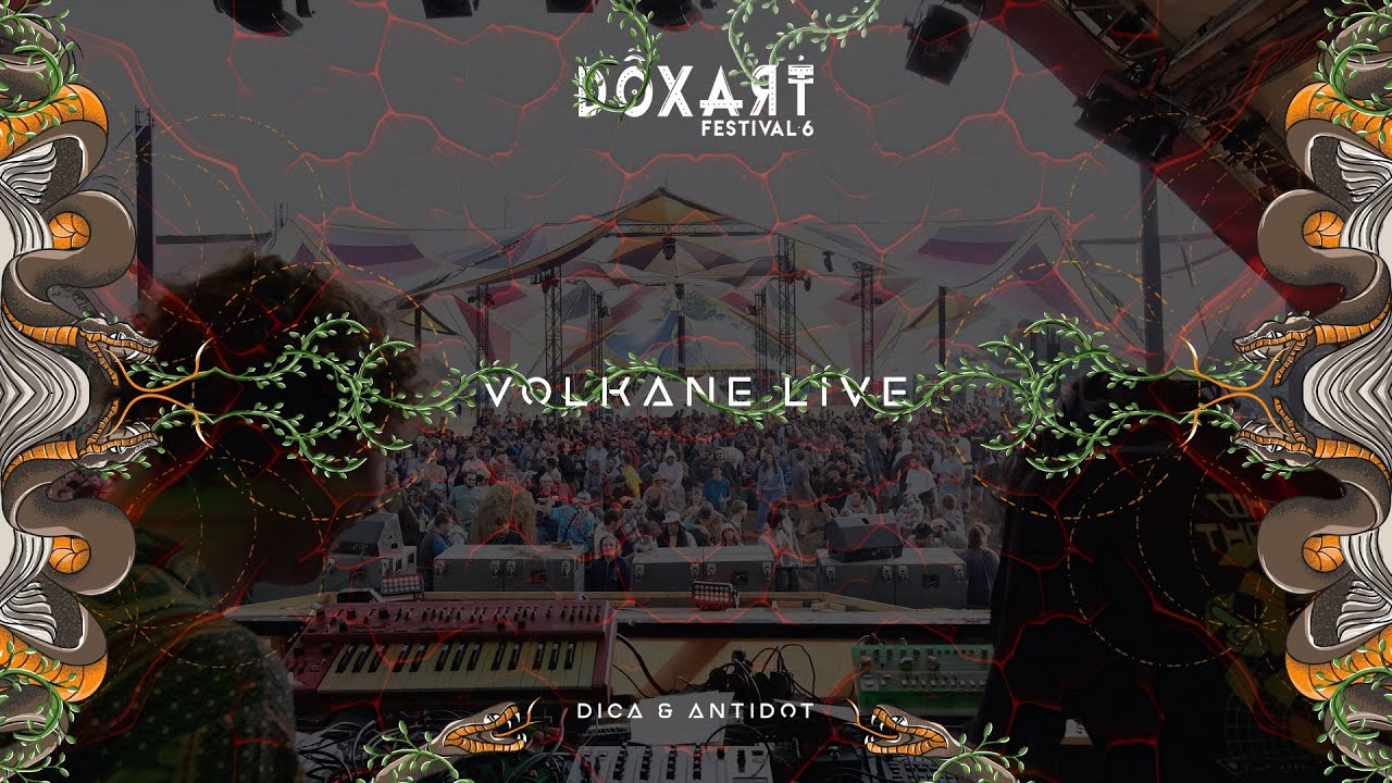 Dica & Antidot | Dox'art Festival #6