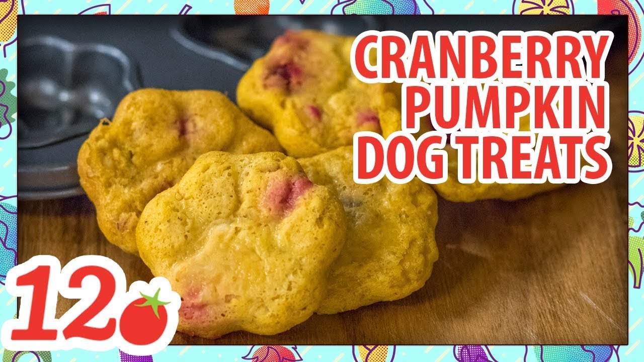 How to Make: Cranberry Pumpkin Dog Treats