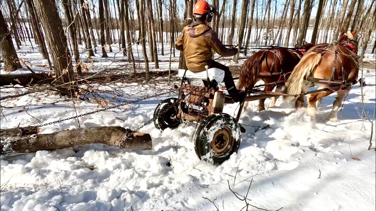 PROS & CONS of DRAFT HORSE LOGGING in the SNOW!! #887