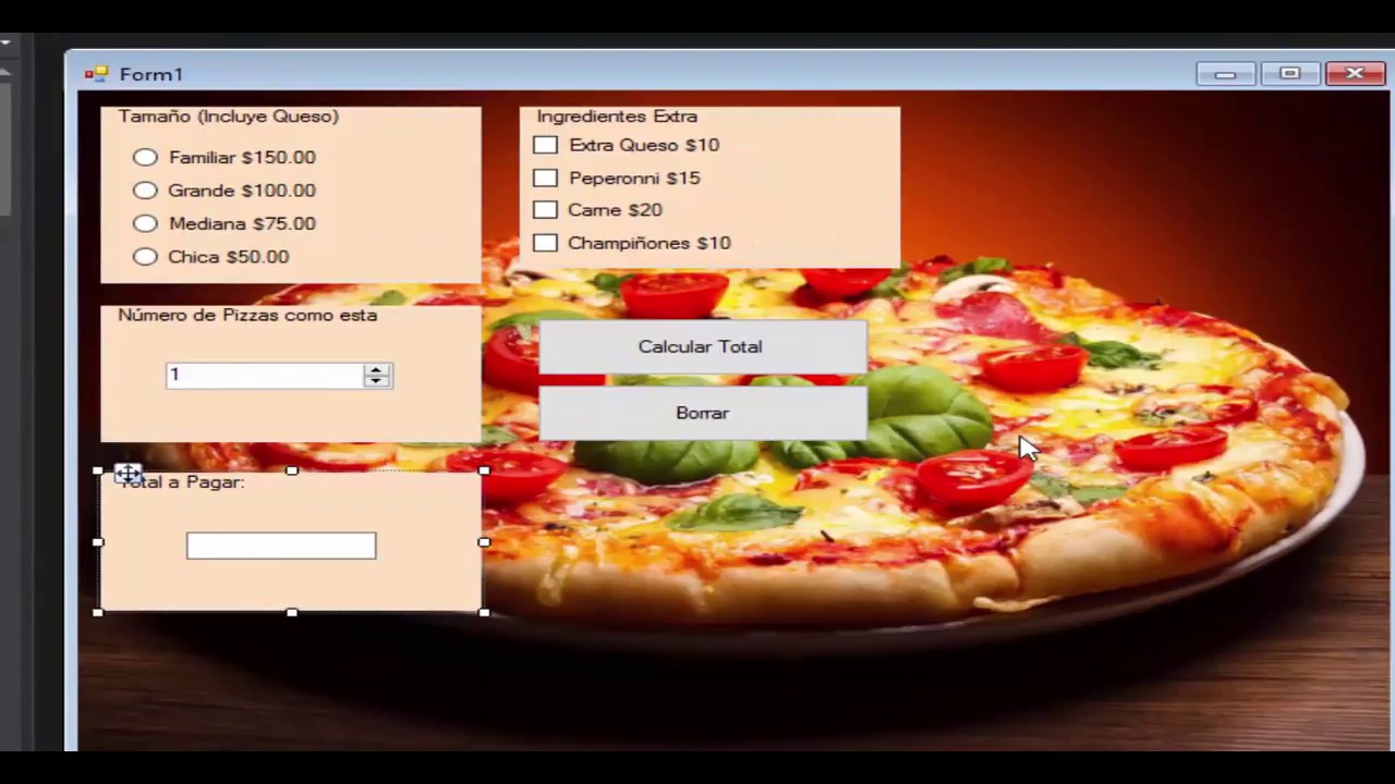 Programa de Pizzeria ( Windows Forms Visual Basic)