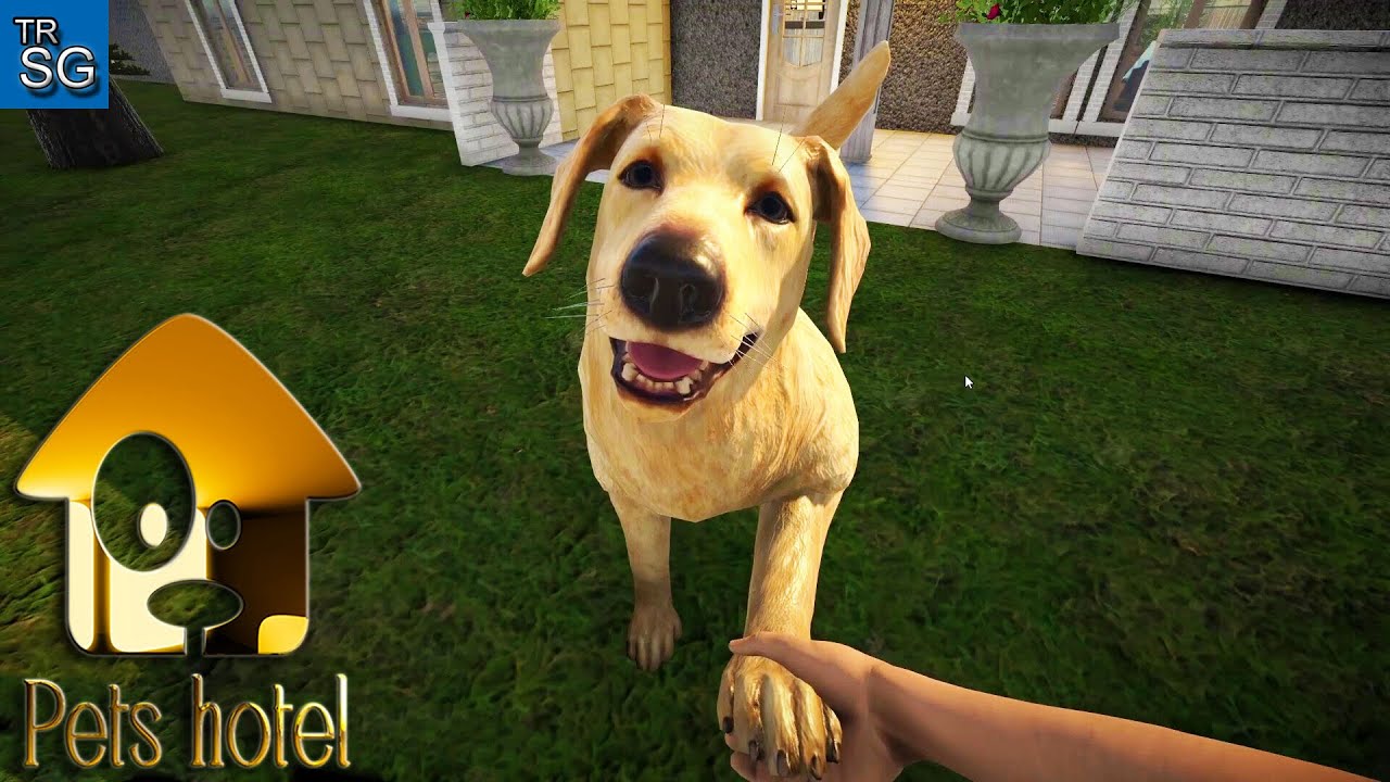 Pets Hotel - A Game for Animal Lovers!