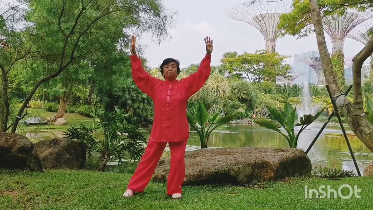 ALICE HO:Health Qigong Shi Er Fa导引养生功十二法。