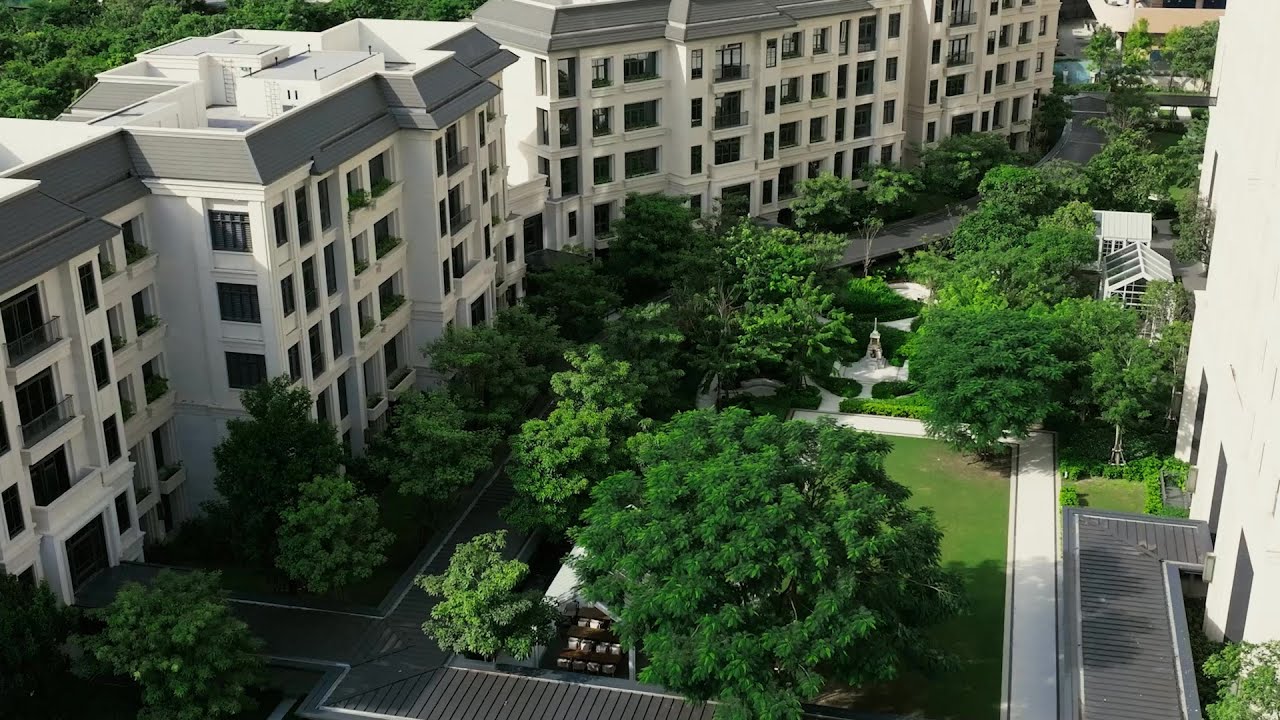 The Aspen Tree – The Most Beautiful Chapter in Life