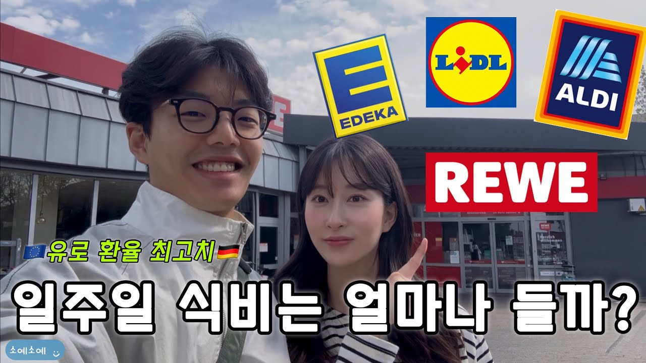 🇩🇪VLOG | 유로 환율 최고치 독일 마트 물가 췍!  | 독일 워홀 67일차 | 레베 알디 에데카 리들 | 뒤셀도르프 | 독일 식비 |