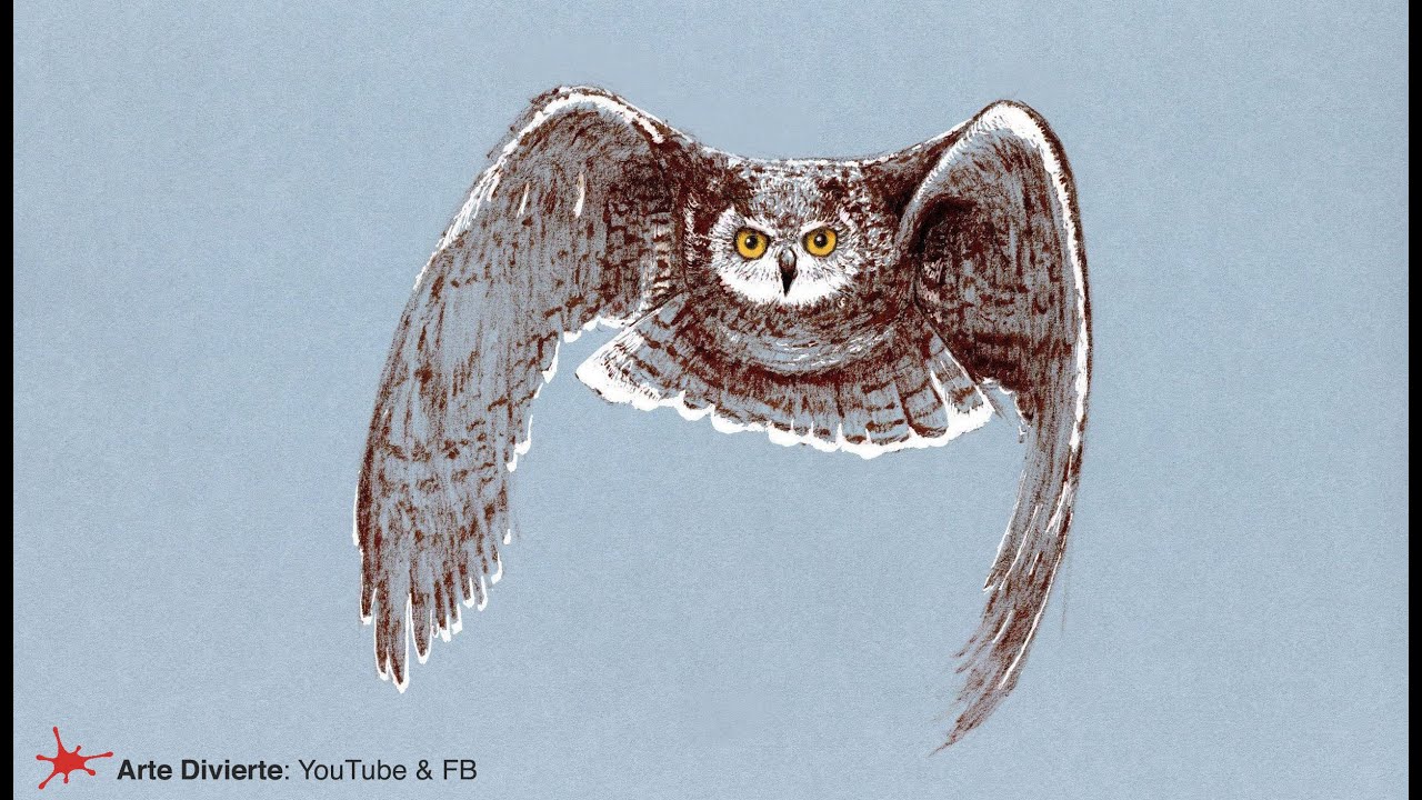 CÓMO DIBUJAR UN BÚHO CON TINTA - Tintubre