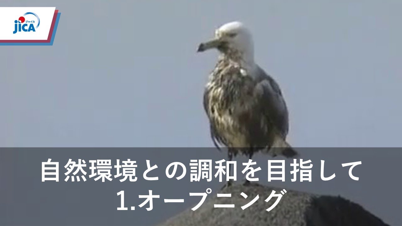 【自然環境保全】自然環境との調和を目指して　～JICA自然環境保全の取り組み～　1．オープニング