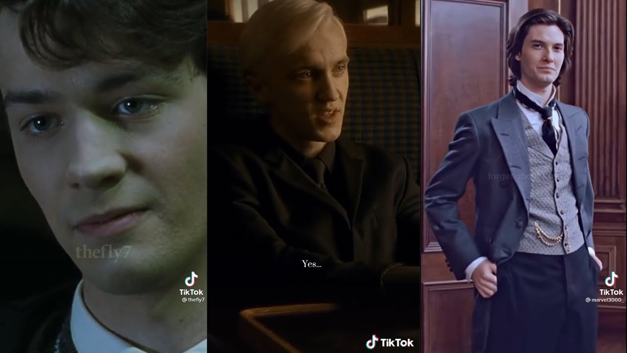 Harry Potter Boys x Y/N TikTok POV