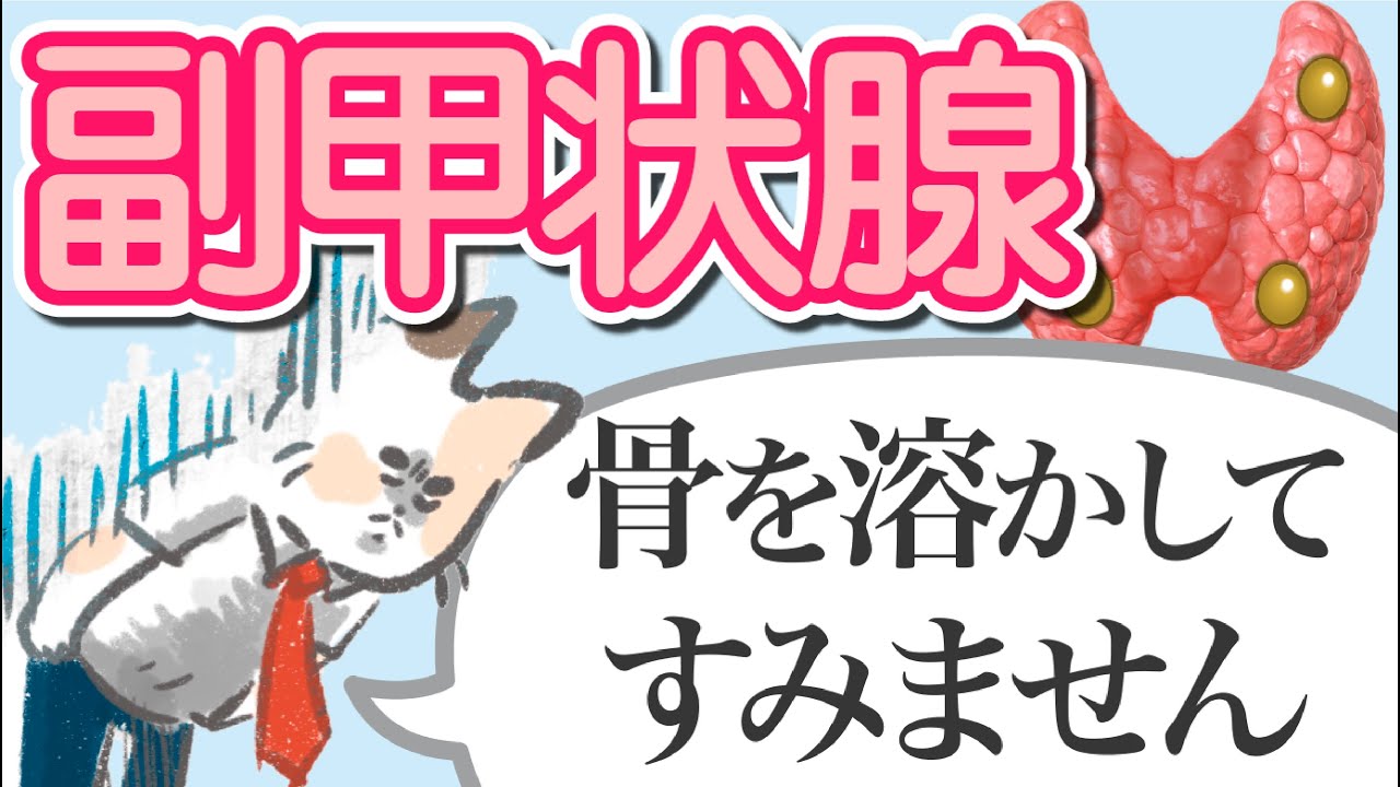 ～副甲状腺の基礎～骨溶かしホルモンの正体