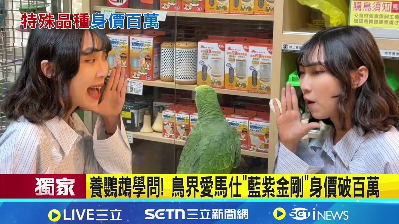 花38秒扛走2米長鳥籠 4隻