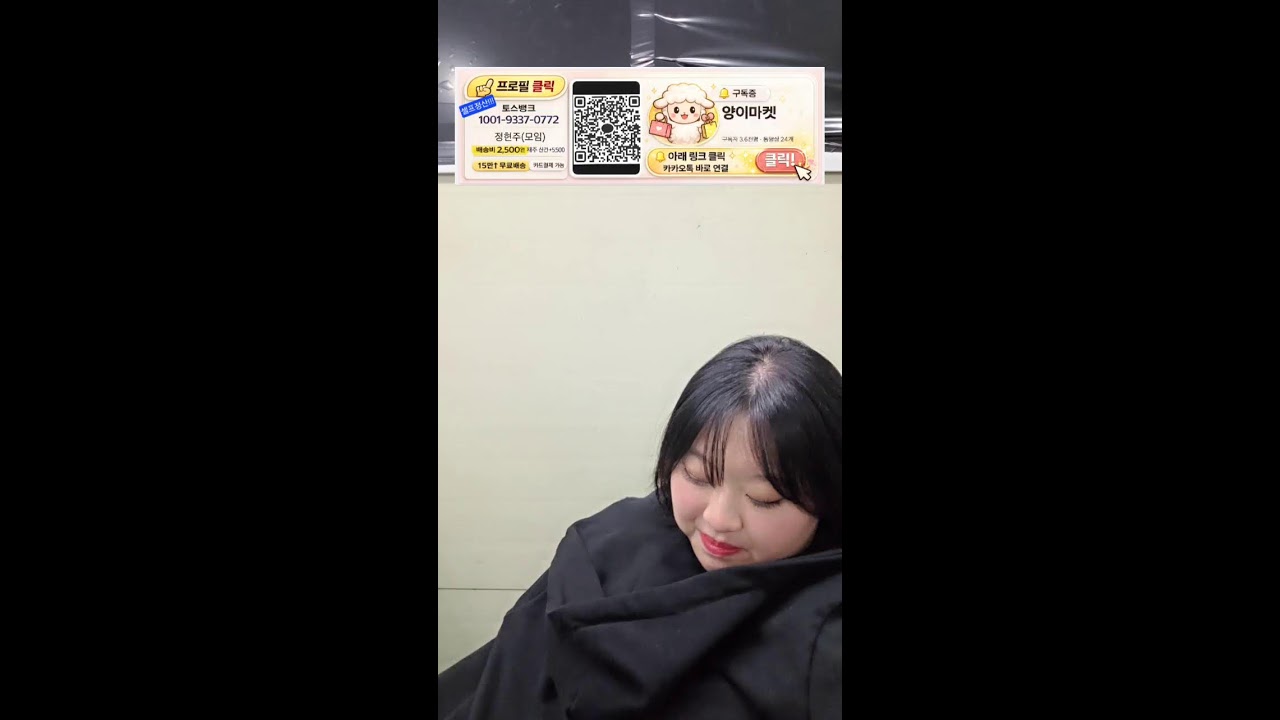 양이마켓 라이브 방송