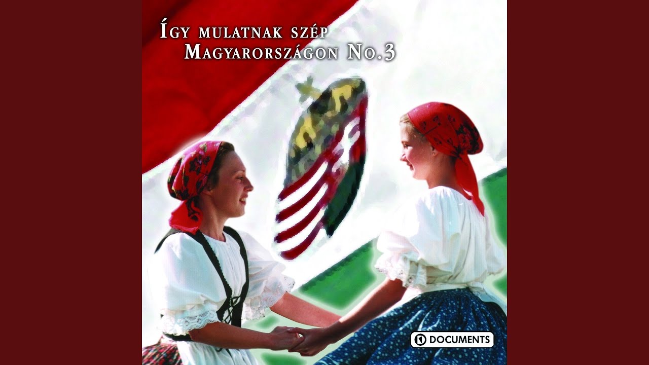 F&eacute;lre &aacute;llok az utadb&oacute;l
