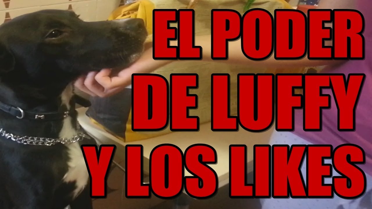 El poder de Luffy y los LIKES | La FAILOTECA Y Sofy quiere jugar al 