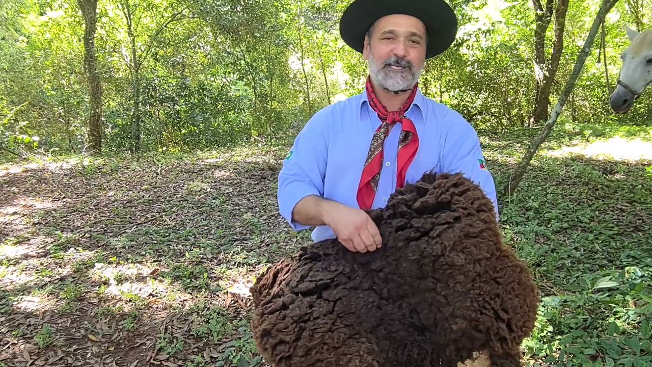 Projeto Inclusão Cultural CTG Sepé Tiaraju - Encilhando o Cavalo