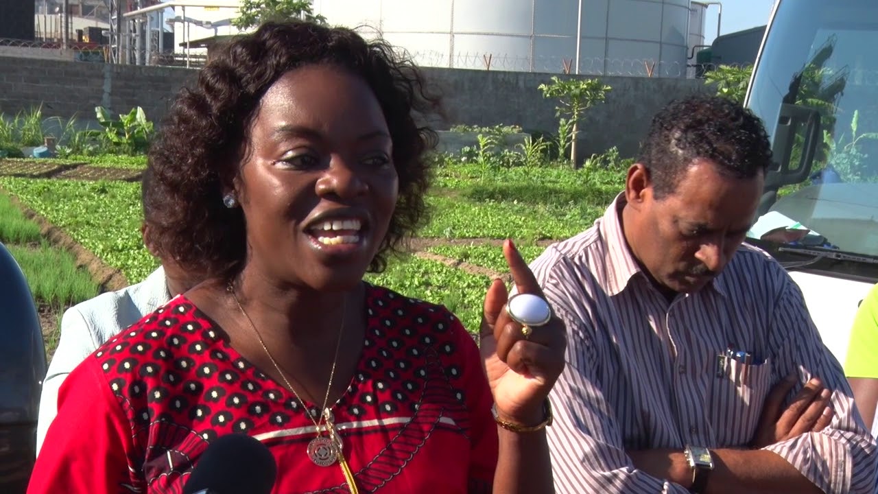 Masa visita melhor produtor jovem da campanha agrária de 2017