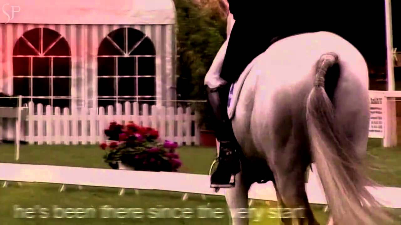 Horse & Rider: My Angel