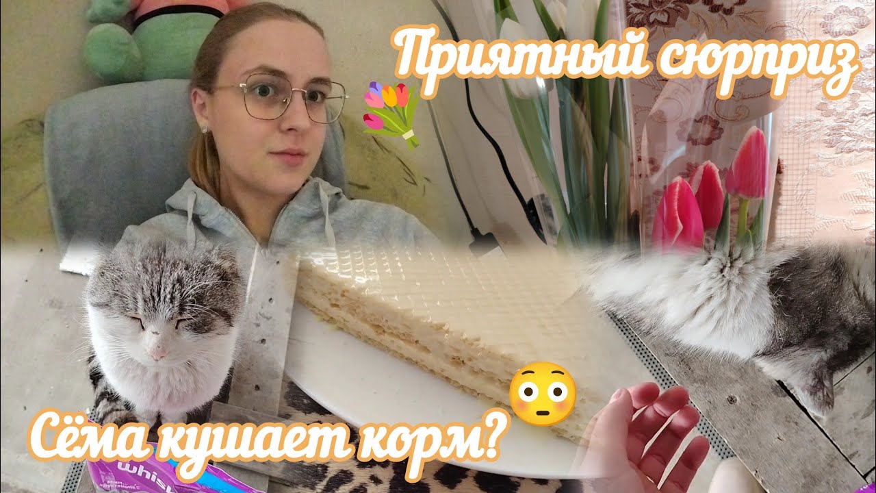 ВЛОГ Сёма кушает корм?😳 Приятный сюрприз💐