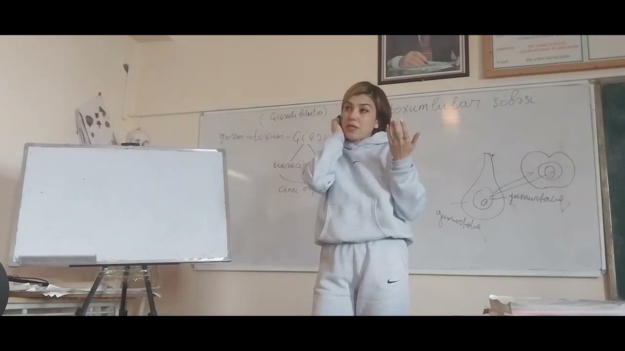 &Ouml;rt&uuml;l&uuml;toxumlular ş&ouml;bəsi / İkiləpəlilər sinfi və fəsilələri dərs izahı