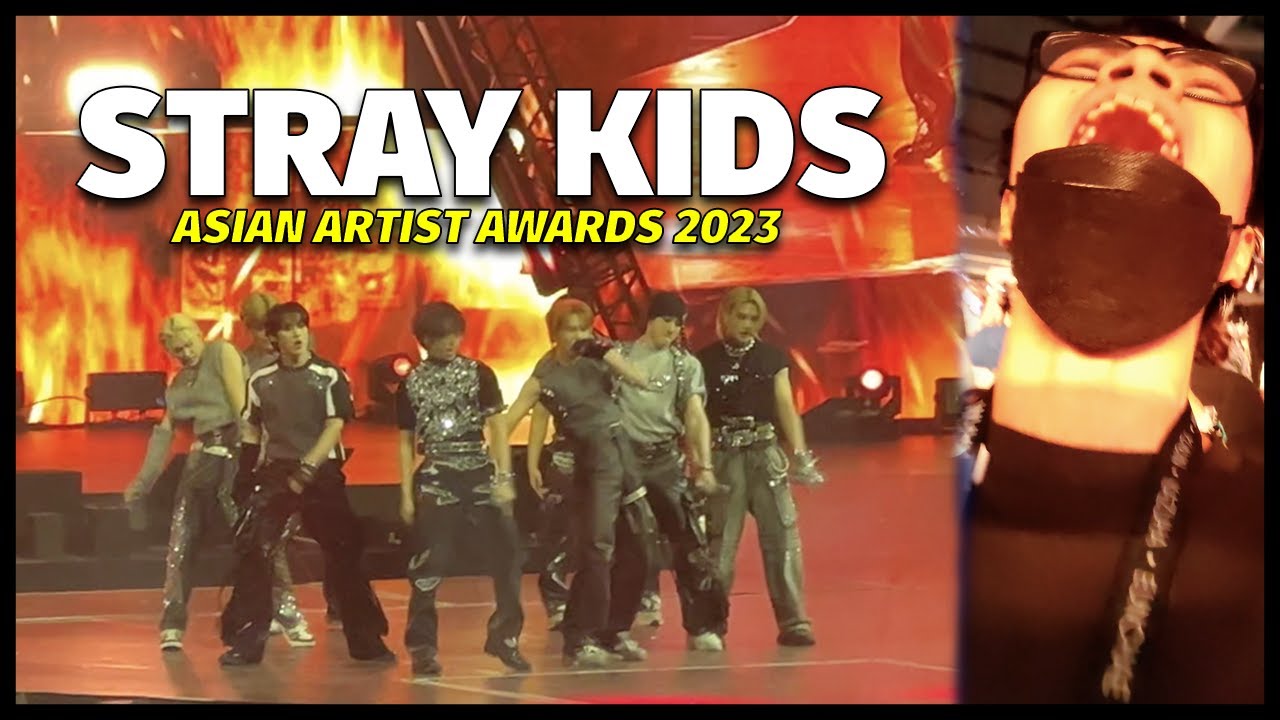 POV: LIVE REACTION LBA VIP | STRAY KIDS Asian Artist Awards 2023 Full Performance | AAA 2023