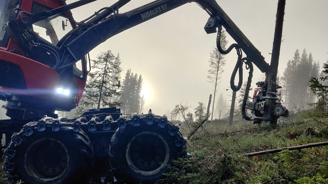 Komatsu 901 C93 slutavverkning
