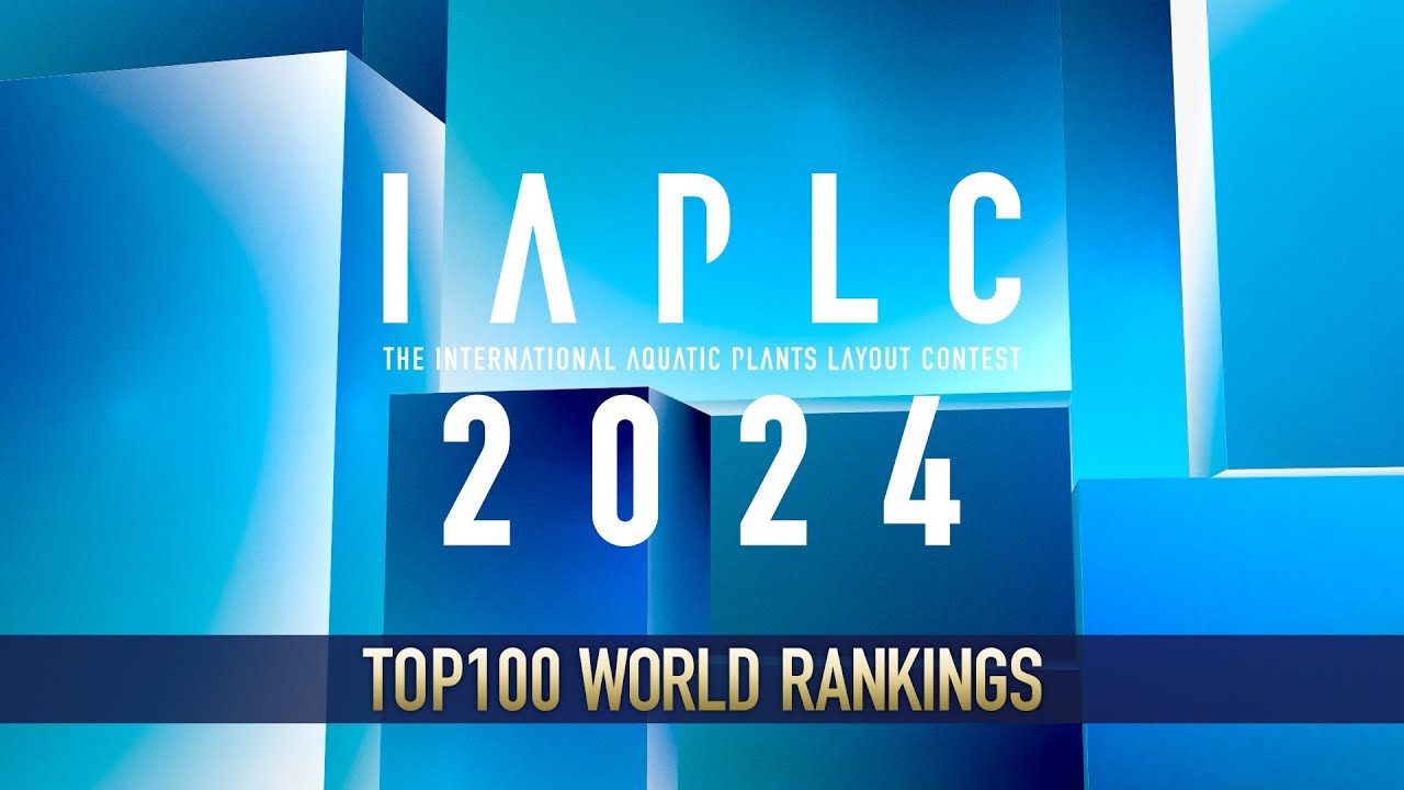[ADAview] IAPLC2024 WORLD RANKINGS -The International Aquatic Plants Layout Contest