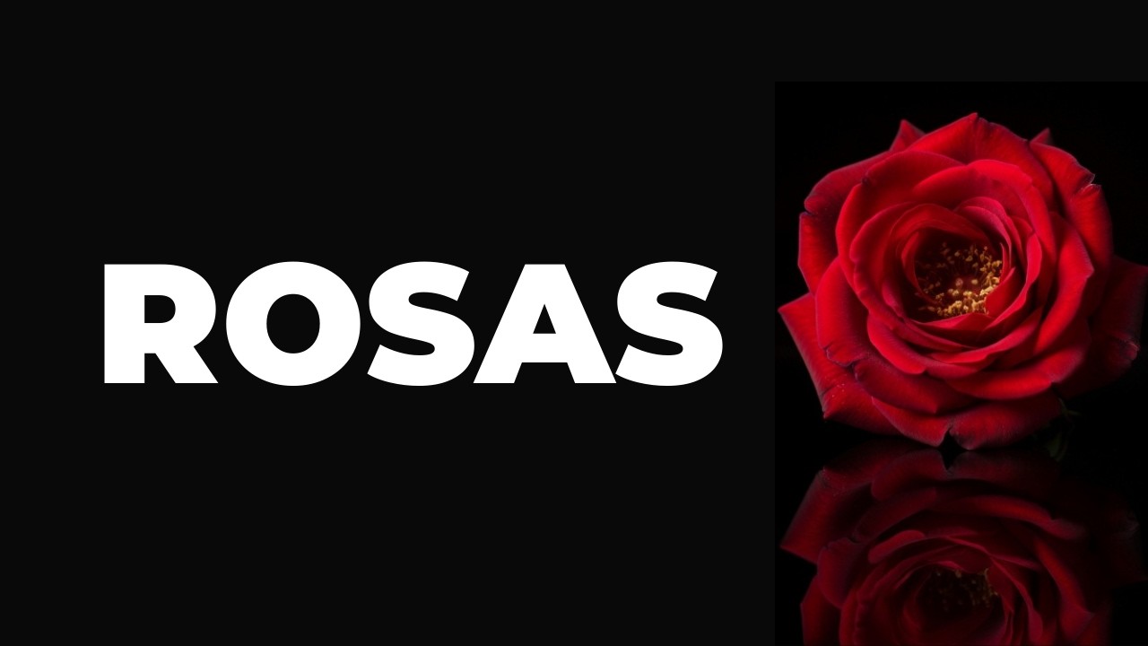Rosas - Skusta Clee - Lyric Video