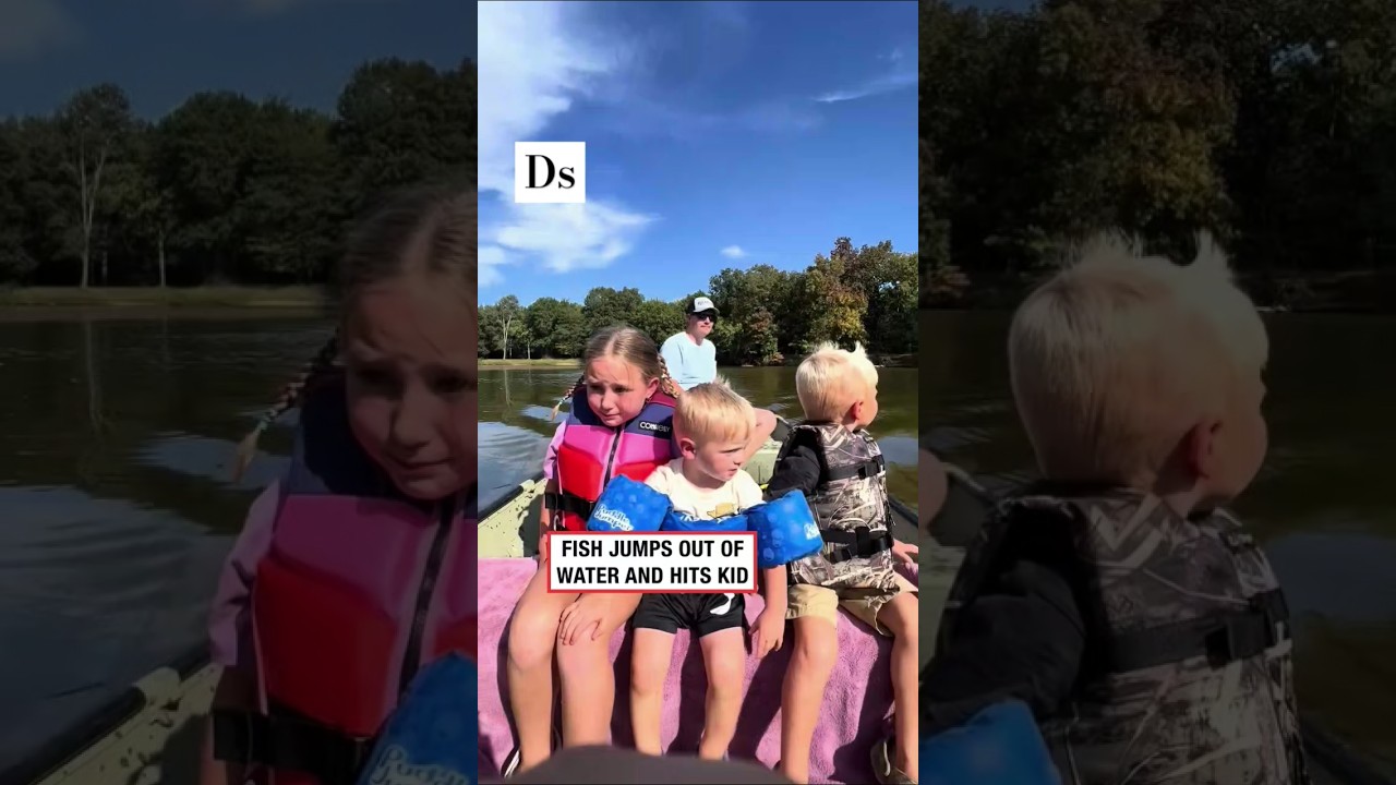 Fish jump out of water and hits kid