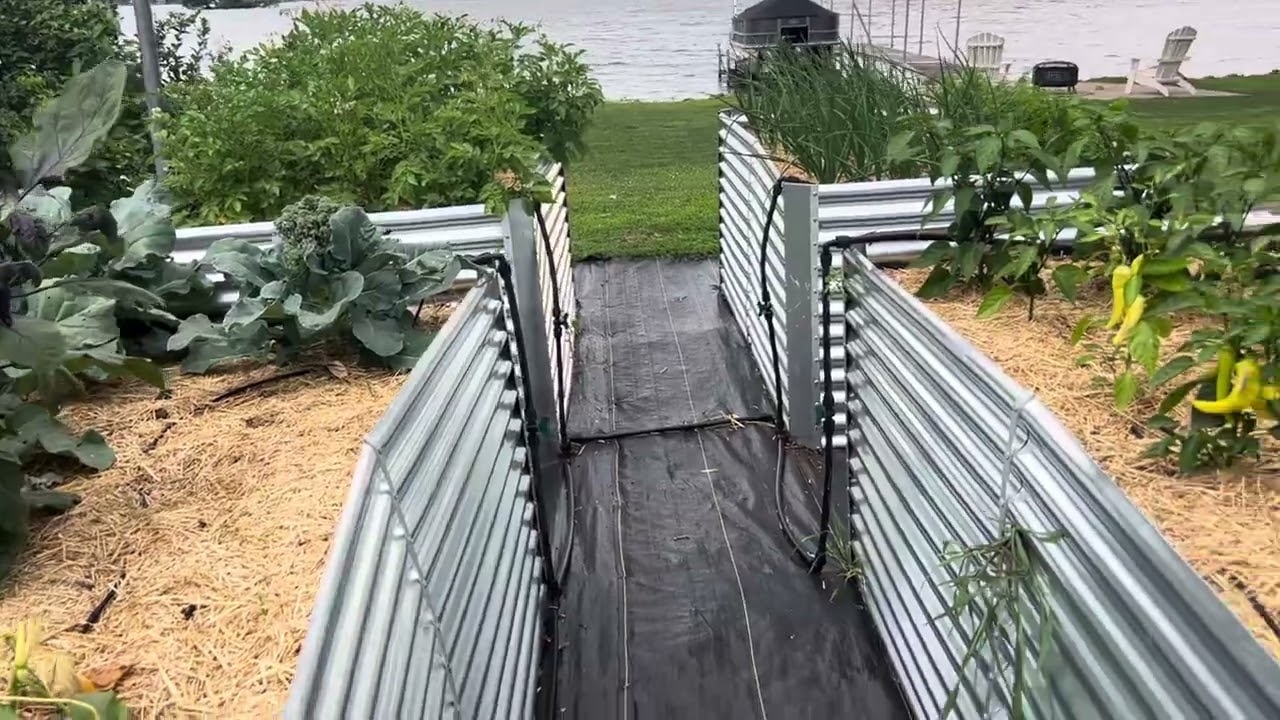 Changing to raised beds review, Land Guard raised beds