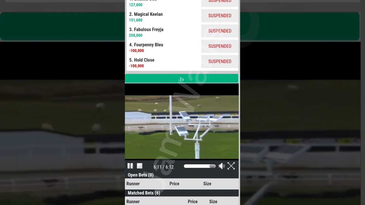 Grayhound Races How To Win Grayhound Race Betpro Exchange Online Betting Tips And Tricks By Waris