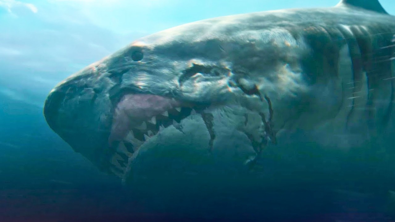 Real Underwater Encounters That Left Experts Speechless