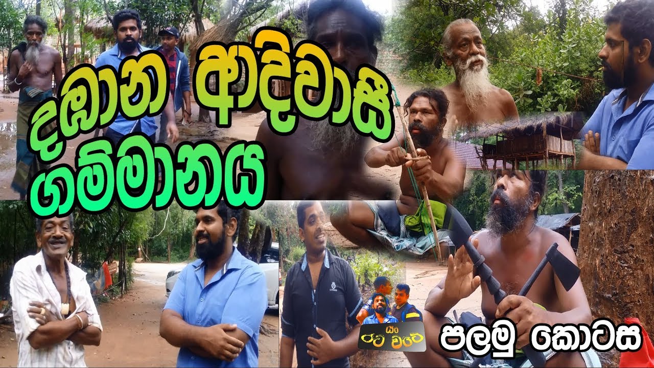 දඹාණ ආදිවාසි ගම්මානය - Dabana Veddha Village