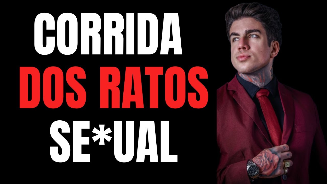 Corrida dos gatos [2025 corrida dos ratos]