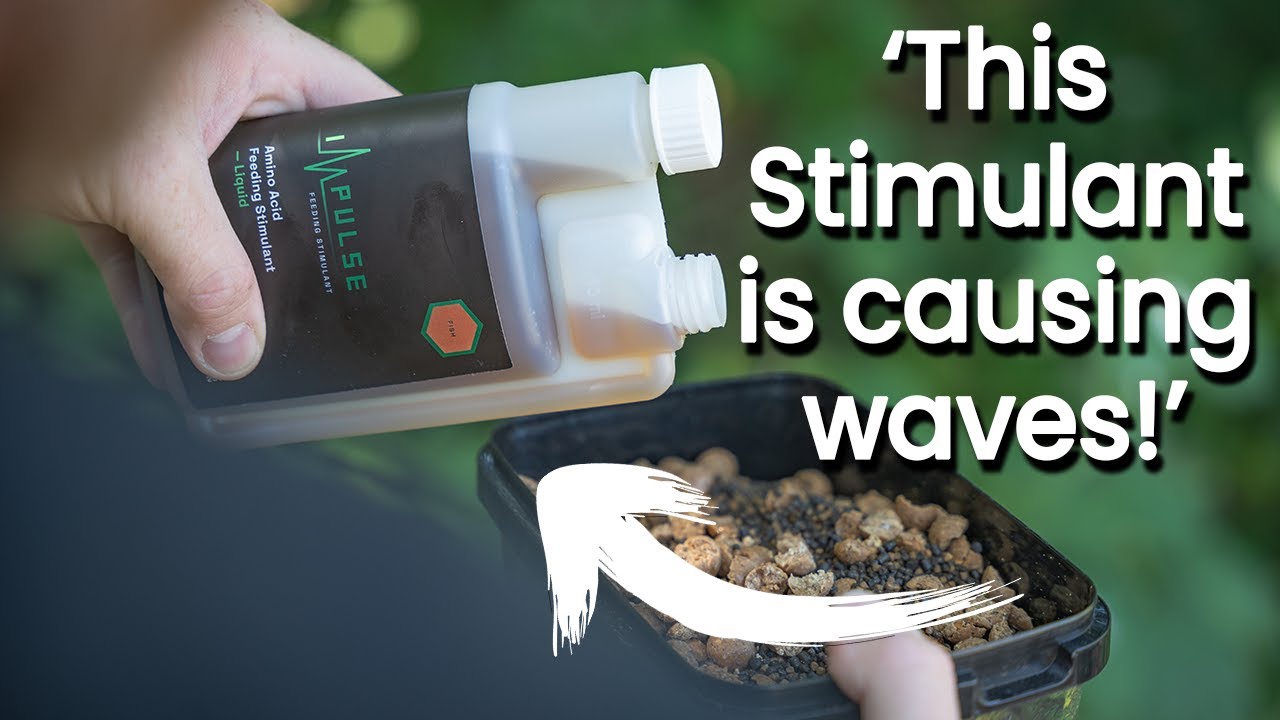 The Stimulant which causes fish to bite?! | BioSource Impulse