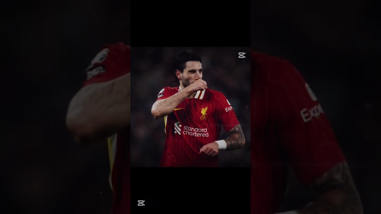 Tung Tung fight #hungary #soccer #edit #football #fifa #hungary #lfc