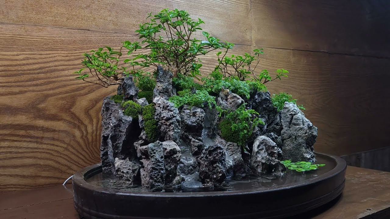 Making a Mountain Forest