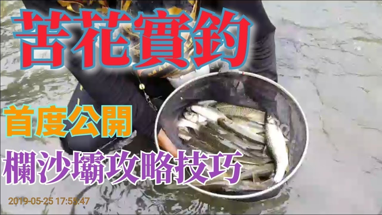 溪釣教學~苦花實釣~進階版
