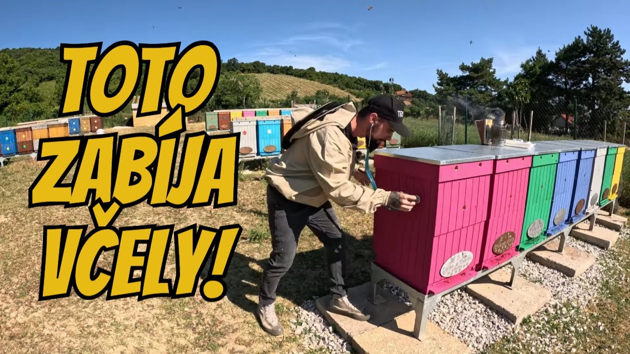 Prečo sa včely musia liečiť?