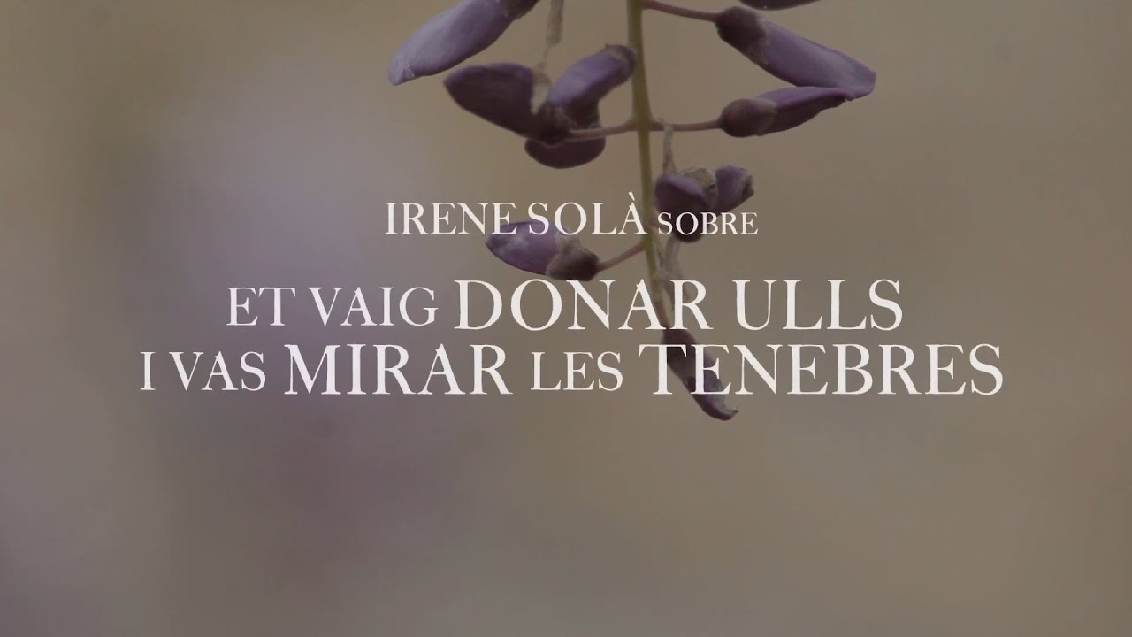 Irene Solà ens parla de 'Et vaig donar ulls i vas mirar les tenebres'