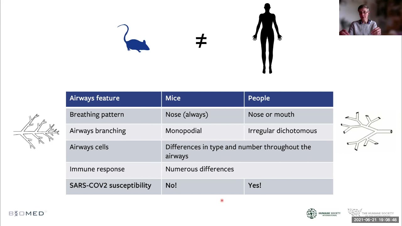 Human-relevant Airways Models for Disease Research by Lindsay Marshall, PhD, HSUS/HSI