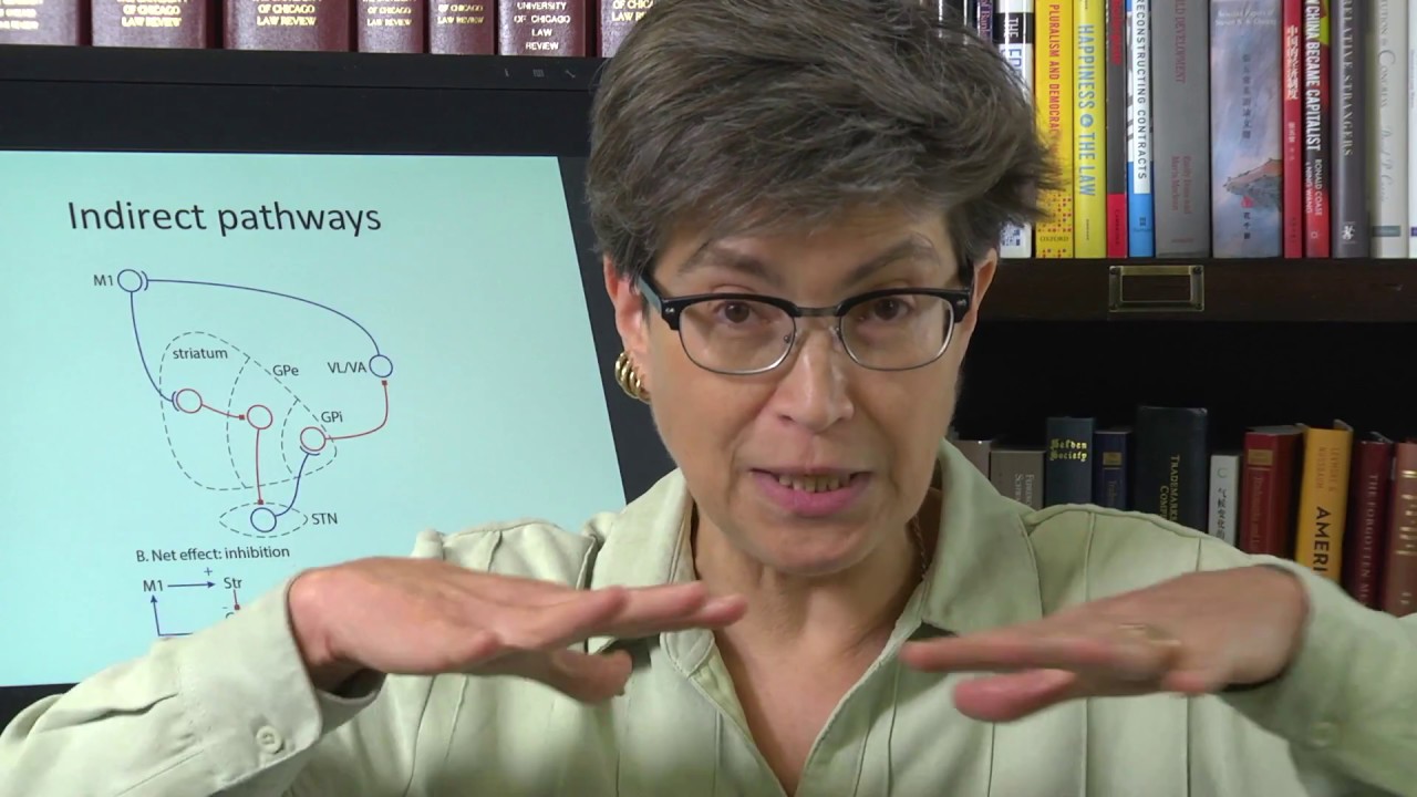 20.8 Indirect Pathways