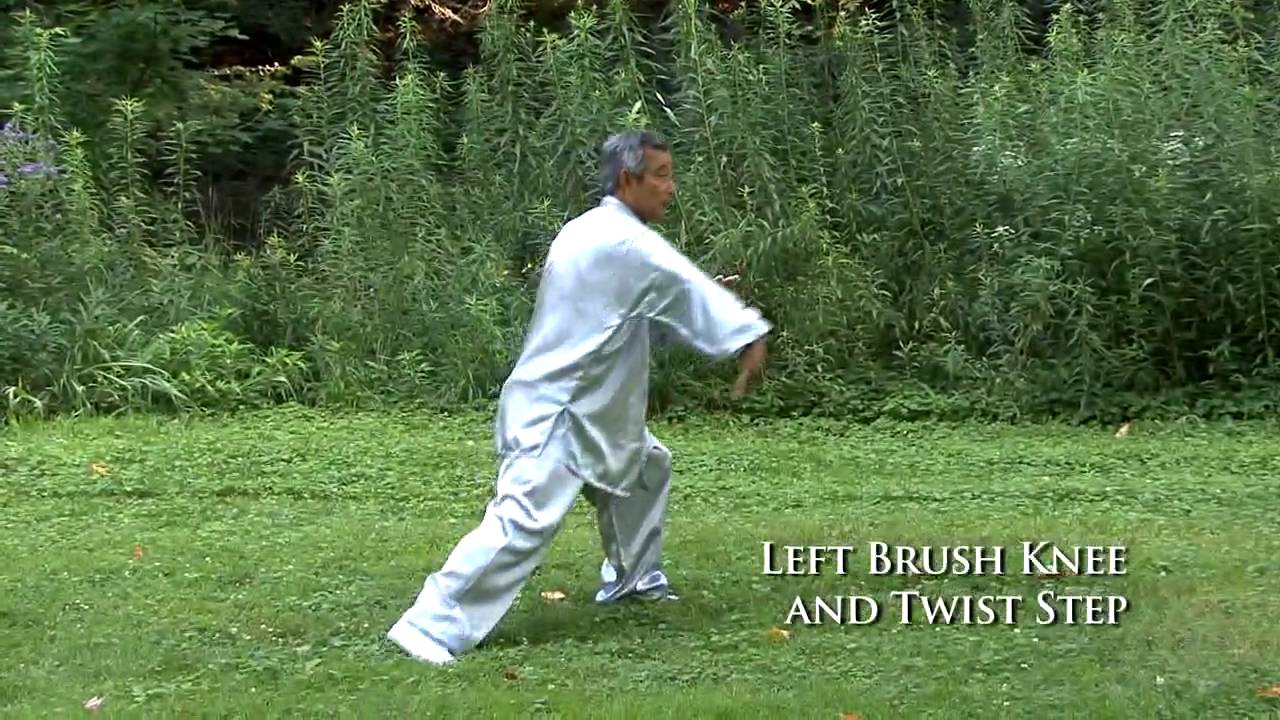 Volume 55 - Yang Jianhou Style Taijiquan - Part 1