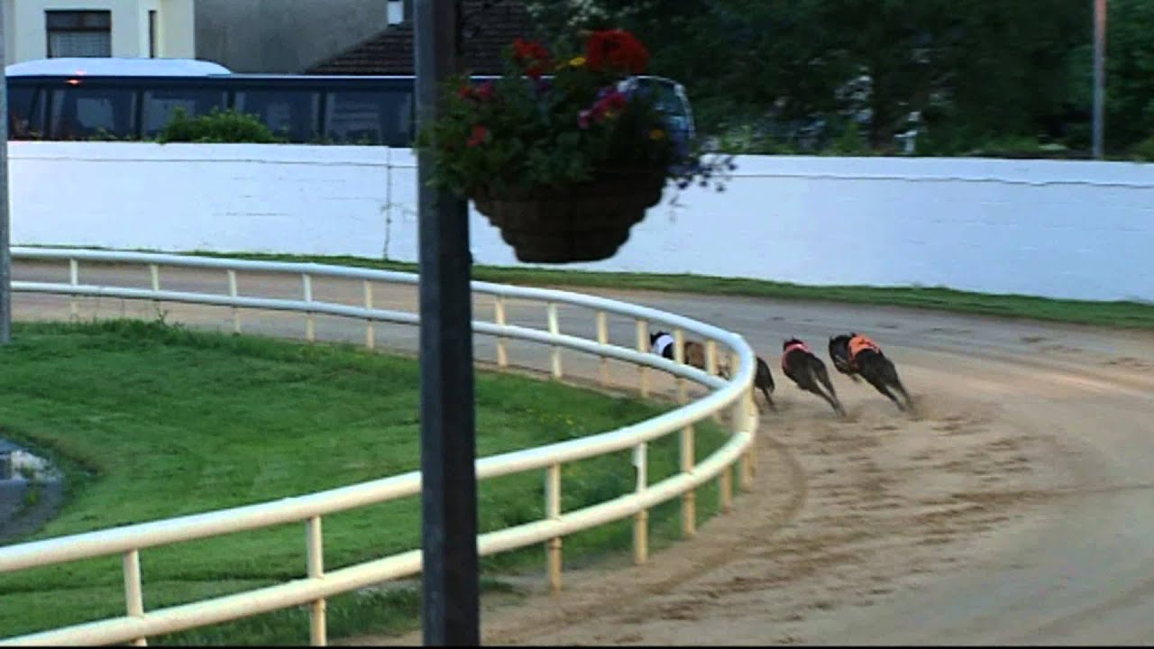 Boylesports Race of Champions: The Semi-Finals