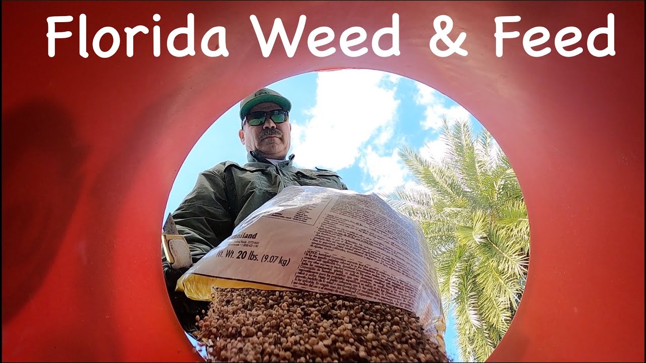 Weed & Feed For St Augustine Grass, Zoysia and Centipede // How To Choose Weed N Feed