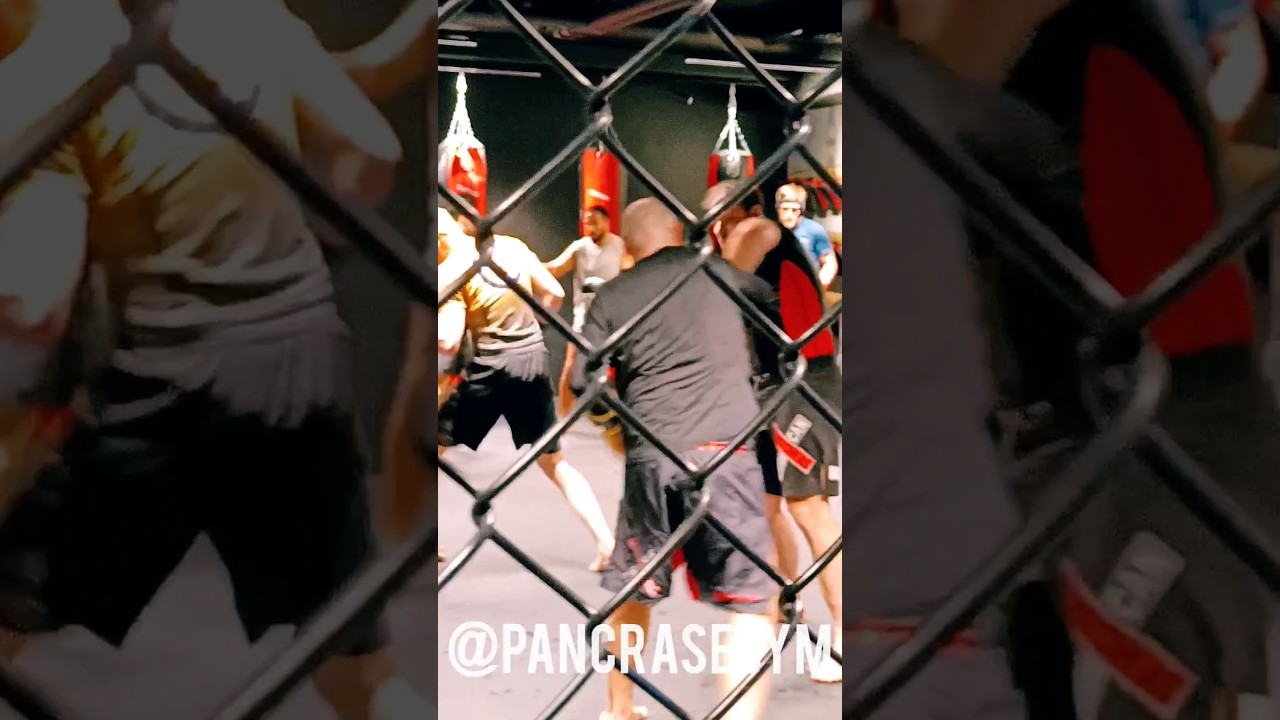 MMA at Pancrase Gym Sweden